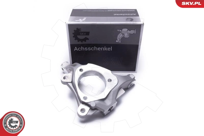 Steering Knuckle, wheel suspension